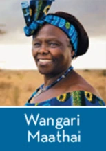 img_Wangari2