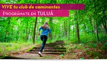 programatetulua