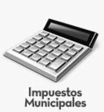 impuestosmunicipales