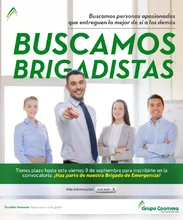 Brigada2