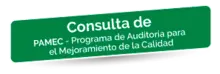 Consulta-de-PAMEC