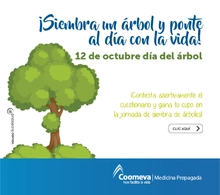 p_SALUD_ARBOL2_OCT2017