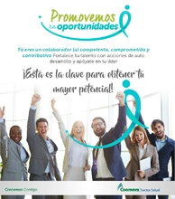 p_SALUD_Oportunidades1_ENE2018