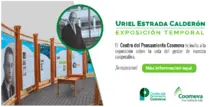 pop_COOP_EXPOTEM_ABR2018