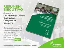 Resumen-Ejec-Asamblea