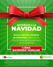 Mail Ahorro Navideno_07