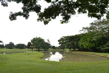 Campo de Golf