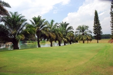 Campo de Golf