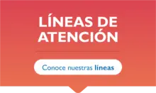 Bt Líneas de atención