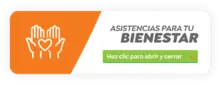 Asistencia para tu bienestar