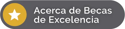 Acerca de Becas de Excelencia