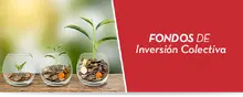 Fondos de Inversión Colectiva