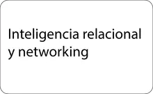 Inteligencia relacional y networking