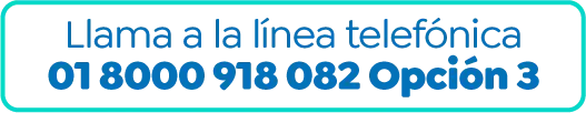 Línea 01 8000