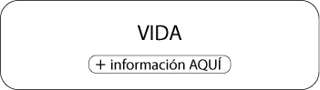 VIDA