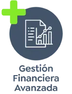 Gestión financiera avanzada