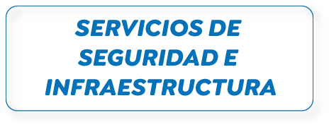 SERVICIOS DE SEGURIDAD E INFRAESTRUCTURA