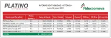 Informe rentabilidad Platino