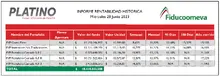 Informe rentabilidad Platino 28 junio