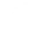 Fundación