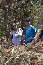 Jornada de siembra de árboles