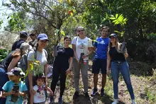 Jornada de siembra de árboles