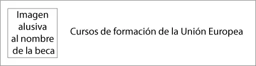 Cursos de formación de la Unión Europea