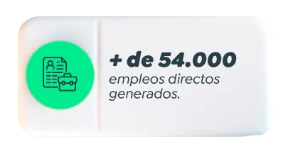 + de 54.000 empleos directos generados