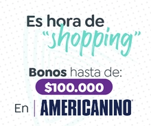 Bonos Americanino