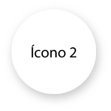 ÍCONO 2