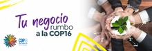 Tu negocio Rumbo a la COP16