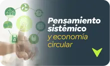 Pensamiento sistémico y economía circular