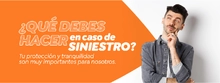 ¿Qué debes hacer?