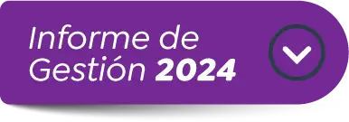 Informe de Gestión 2024