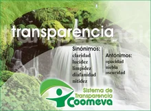 transparencia3