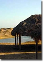 i_guajira2