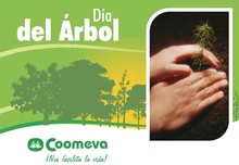 arbol