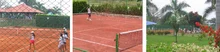 C7844_26408_tenis_11