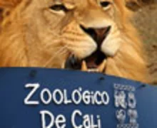 zoologico