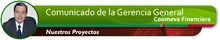 enc_Gerencia_FinancieraProyectos