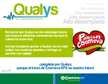 p_Qualys3