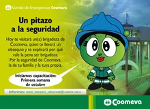 p_comiteEmergencia2