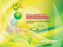 p_bonoSolidario2011