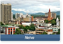 29590_neiva