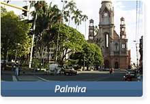 29590_palmira