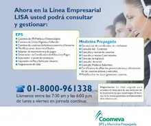 mailinglineaempresarial5