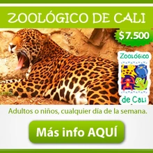 img_CaliZoo